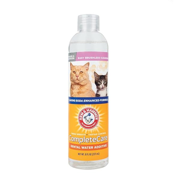 ARM & HAMMER COMPLETE CARE FRESH DENTAL WATER ADDITIVE FOR CATS – CAT DENTAL CARE SOLUTION FOR BAD BREATH, INCLUDES CAT TOOTHPASTE ENZYMATIC ACTION, IDEAL FOR CAT GROOMING SUPPLIES, 8 FL OZ