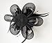 Coolr Fascinator Hair Clip Cocktail Headwear Flower Bridal Headpieces (Black)