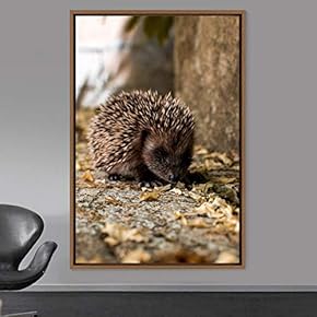 signwin Framed Canvas Wall Art Squirrel Animals Fun...