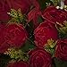 ALEKO F18HRR Artificial 14.5 Inch 18 Heads Silk Red Rose Flower Bouquet