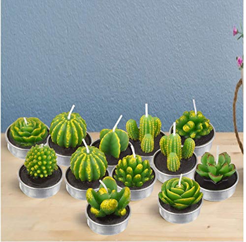 WWWL Creatieve kaars 12 Stks 3D Cactus Kaars Gesimuleerde Plant Set Woondecoratie Valentijnsdag Rose Bloem Theelicht… - Image 7