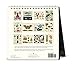 Cavallini Papers & Co 2018 Curiosities Desk Calendar