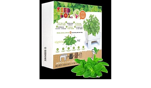 Huerto urbano ecológico hierbabuena (Kit regalo de iniciación al ...