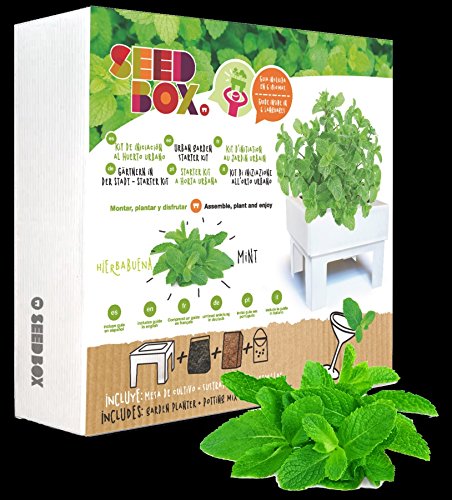 Huerto urbano ecológico hierbabuena (Kit regalo de iniciación al ...