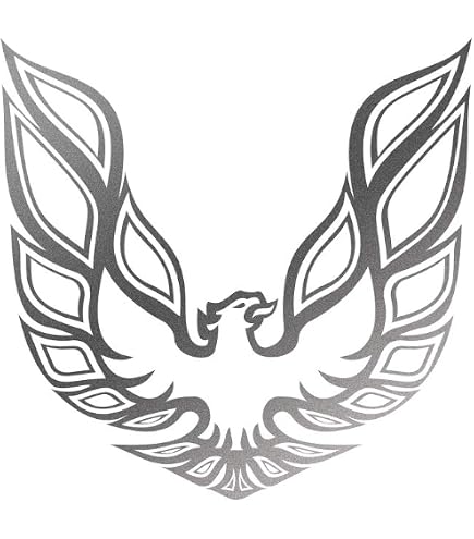 Amazon.com: Phoenix Graphix 1982 1983 1984 1985 1986 1987 1988