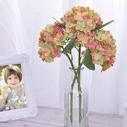 Baby Plum 3PCS Artificial Hydrangea Silk Flowers Head with Stems Fake Plants Leaves Greenery Orange Colorful Flowers for Living Room Festival Wedding Home Decor Bouquet Decoration, Pack of 3