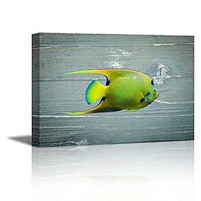 Canvas Prints Wall Art - Tropical Fish on Vintage Wood Background Rustic Home Decoration - 12" x 18"
