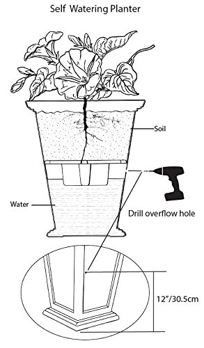 Casablanca Planter (2-pack)
