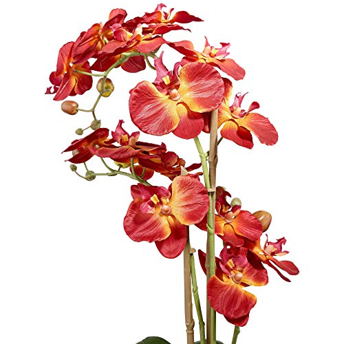 Studio 55D Red Orchid 26" High Silk Potted Plant Pricepulse
