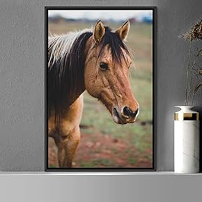 signwin Framed Canvas Wall Art Horse Animals Dramatic...