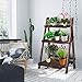 Giantex 3 Tier Folding Wooden Plant Stand, Indoor Flower Pot Holder Display Rack, Free Installation Corner Plants Storage Shelf, Foldable Rustic Wood Ladder Shelf for Home Patio Balcony Garden