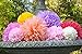 Life Glow 12Pcs Pom Poms of 10