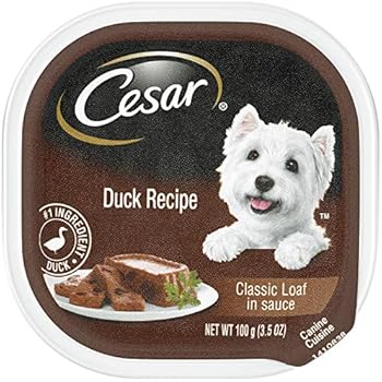 Amazon.com: CESAR Soft Wet Dog Food Classic Loaf in Sauce