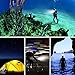 Neewer Underwater Lights Dive Light 60 LED Dimmable Waterproof LED Video Light 131feet/40m for GoPro Hero 6 5 4 Hero Session Canon Nikon Pentax and Other Action and DSLR Cameras (Battery Included)