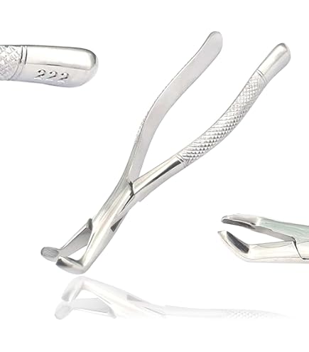 Amazon.com: Wise Instruments Inc. Dental Extracting Forceps 18L