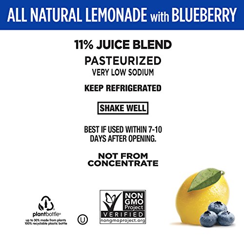 Simply Lemonade with Blueberry - Image 3