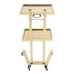 2 Tier Metal Rolling Cart, Stainless Steel Salon