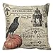 Gotd BIRD ON Pumpkin Halloween Pillows Cover Decorations Decor Halloween Throw Pillow Case Sofa Waist Throw Cushion Cover Home Decor Square 45 x 45cm 18 x 18inch (Beige)