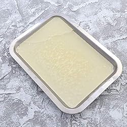 UKCOCO Wax Dissection Tray - Stainless Steel