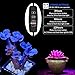 Indoor Plant Grow Light,VillSure 2019 Upgraded LED Plant Lamp with Auto On/Off 3H/6H/12H Timer,30w Full Spectrum 5 Dimmable Levels Desk-Clip Plant Lights for Succulent Seedings Garden Greenhouse