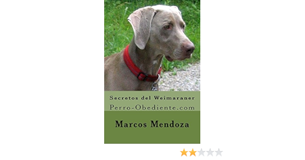 weimaraner google translate