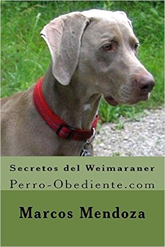 weimaraner google translate