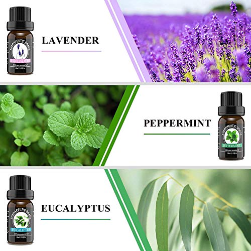 Essential Oils Set (Top 6) Essential Oils for Diffusers for Home, 100