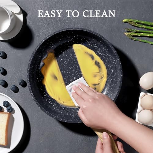 GiPP Ceramic Coating Nonstick Frying Pan with Lid - 26cm Healthy Non-Toxic Non Stick Skillet Omelette Pans, Induction Compatible Chef Pan, PFAS & PFOA-Free, Dishwasher Safe, Stay Cool Handles Grey