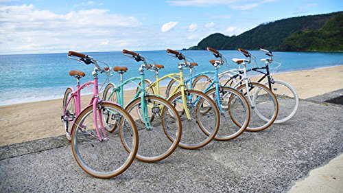 新品】 alohaloco(アロハロコ) オリジナル自転車(26インチ) KAILUA 