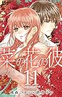 菜の花の彼 第11巻