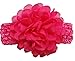 QandSweet Baby Girl's Headbands with Chiffon Lotus Flower Soft Nylon Headwraps for Take Pictures (Camellia Flower 15Pcs)