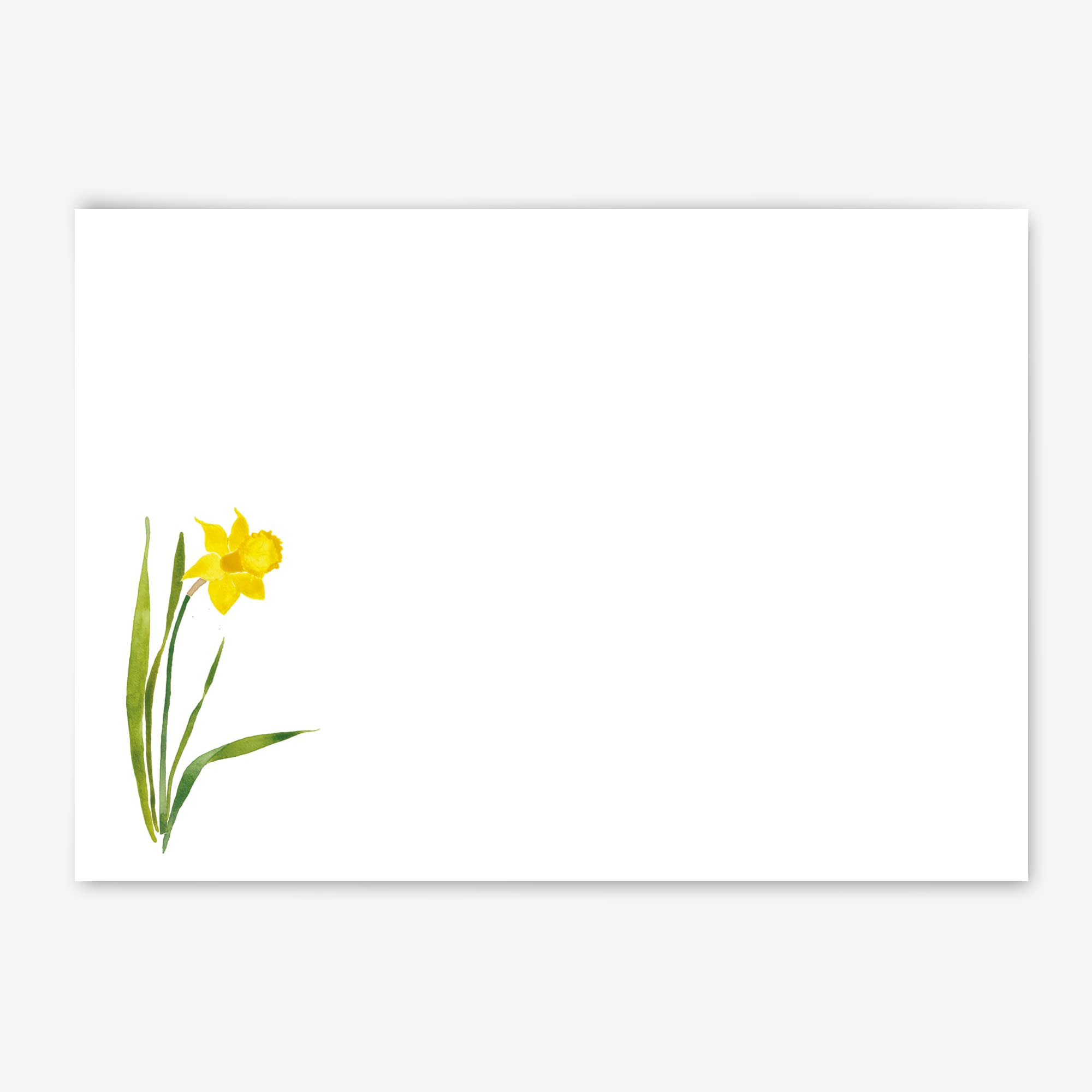 Me Loovely Yellow Daffodil Flat Notecard and Envelopes Set Floral Thank You Card Multipack Greeting Cards | Christmas Gifts (A6 Size, Without Folder)