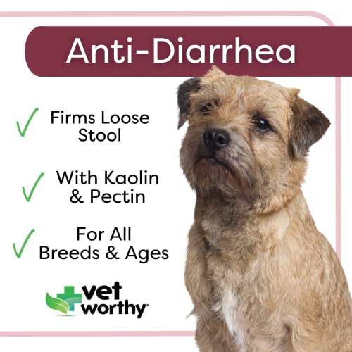 Vet Worthy AntiDiarrhea for Dogs Dog Supplement to Help Relieve