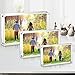 Boxalls 4x6 Inches Acrylic Picture Frames- 5 Pack, Desktop Frameless Photo Frames with Magnetic, Double Sided Transparent (5 Pack)