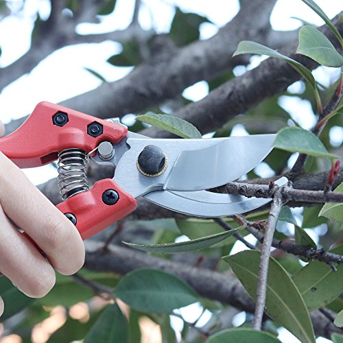 GARTOL Gardening Bypass Hand PrunersPruning Shears Scissors Perfect