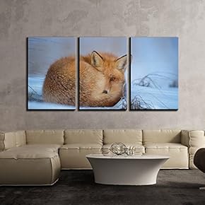 3 Piece Canvas Wall Art - Fox Lying on The Snow in Winter - Modern Home Art Stretched and Framed Ready to Hang - 16"x24"x3 Panels
