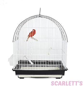 bird cages amazon uk
