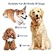 Pawsmile IP67 1800' Remote Range 2 Weeks Standby Time Electric Leakage Protection Dog Training Collar for Small Medium Large Dogs 6.6 lb. -120 lb.