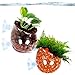 SunGrow Crystal Aquarium Planter with Suction Cups, 2″ x 2.3″, Creates Floating Illusion for Your Aquarium, 2pcsthumb 3