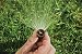 Rainbird High Efficiency Variable Arc Nozzle 10' radius - 10 pk primary