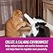 Pawfectchow Comfort Zone Multicat Diffuser Refills, 6 Pack, for Cat Calming