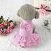Gotd Cute Sweet Pet Puppy Dog Apparel Clothes Short Skirt Dress (M, Pink)