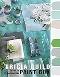 Image de Tricia Guild Paint Box: 45 palettes for choosing colour texture and pattern
