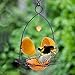 FORUP Oriole Bird Feeder, Orange Fruit Oriole Feeder