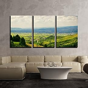 3 Piece Canvas Wall Art - Natural Landscape with Fields and Forests Over Cloudy Sky - Modern Home Art Stretched and Framed Ready to Hang - 16"x24"x3 Panels