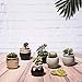 Potaroma Succulent Pots, 6 Pack Premium Ceramic Plant Pots with Drainage, FlowingGlaze Pots for Plants. Succulent-Pots-Planter-Flower-Plants