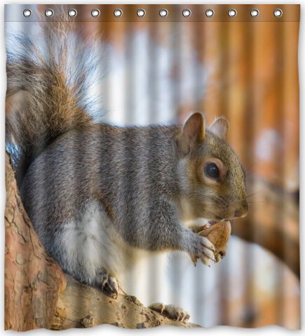 Amazon Com Hot Design Cute Squirrel Shower Curtain 66 W X 72 H