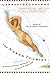 The Naked Tourist by Lawrence Osborne