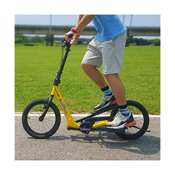BRIZON New Model - Wingflyer16- Excercise Stepper Scooter (16inch Air Tire) (Black)