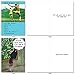 NobleWorks - 10 Funny Birthday Cards Box Set for Men and Women, Assorted Bulk Humor Greeting Cards, Envelopes - A Very Funny Birthday AC5979BDG-B1x10